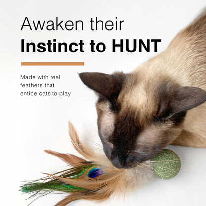 CatWant Silvervine Catnip Feather Shuttlecock Ball Cat Toy