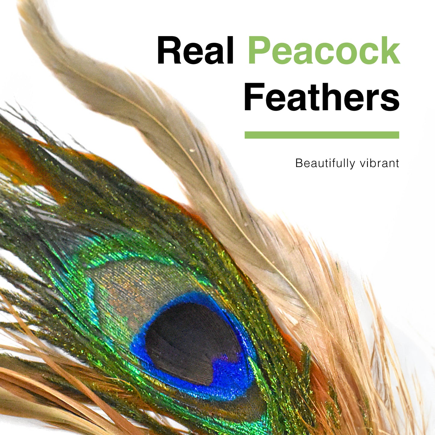 CatWant Silvervine Catnip Feather Shuttlecock Ball Cat Toy