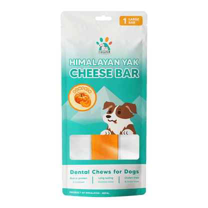 Singapaw Himalayan Yak Cheese Bar Dental Chew for Dogs