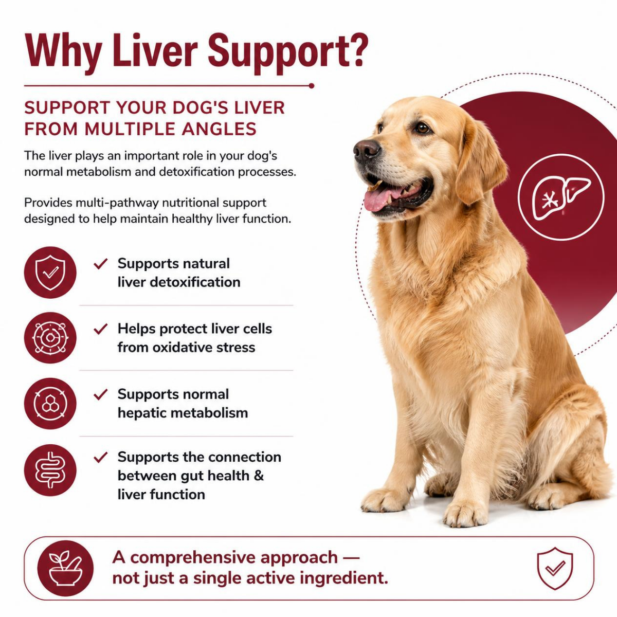 Nextmune Fidek Liver Supplement for Dogs