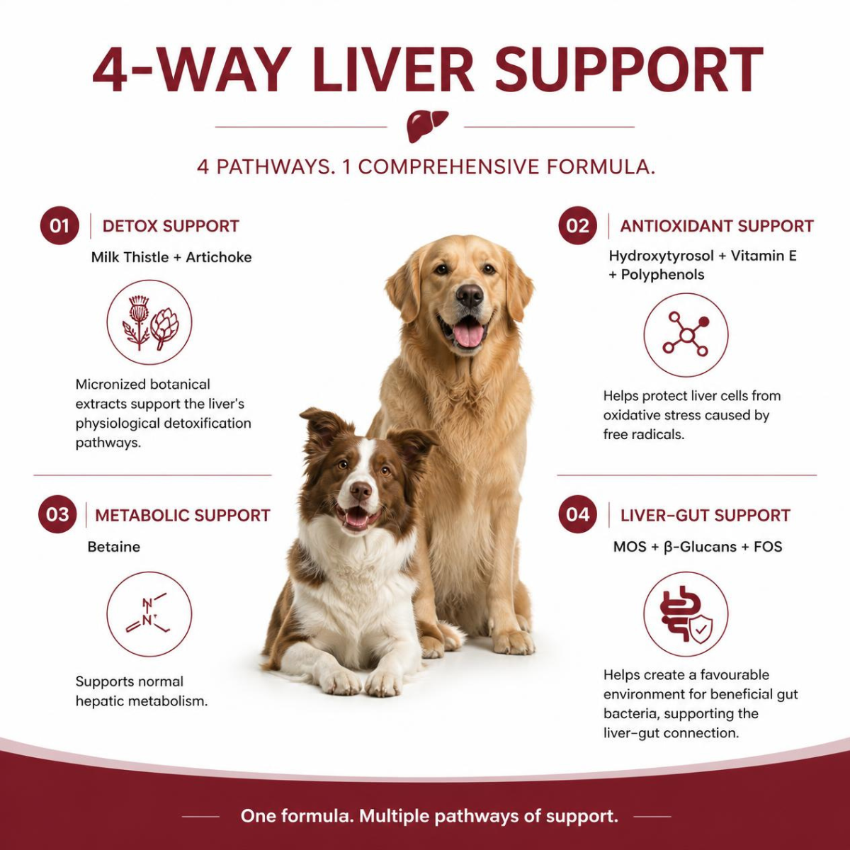 Nextmune Fidek Liver Supplement for Dogs