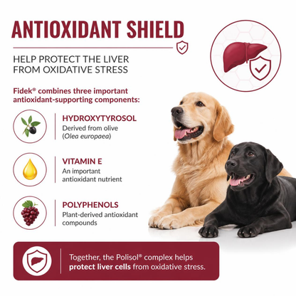 Nextmune Fidek Liver Supplement for Dogs