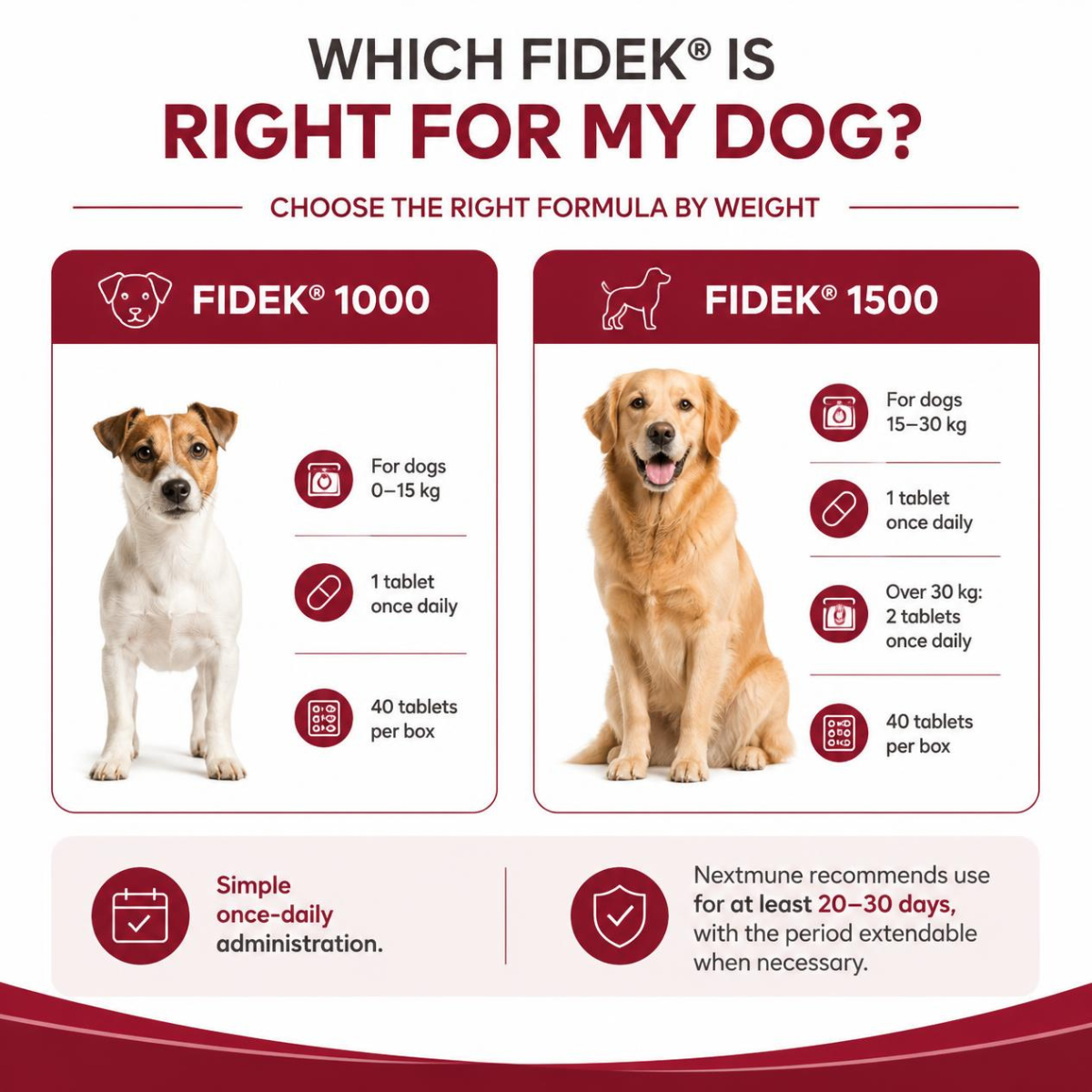 Nextmune Fidek Liver Supplement for Dogs