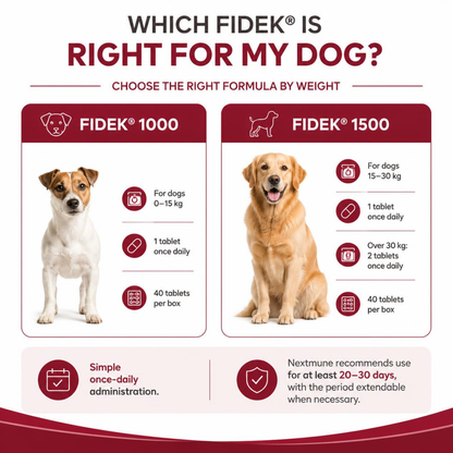 Nextmune Fidek Liver Supplement for Dogs