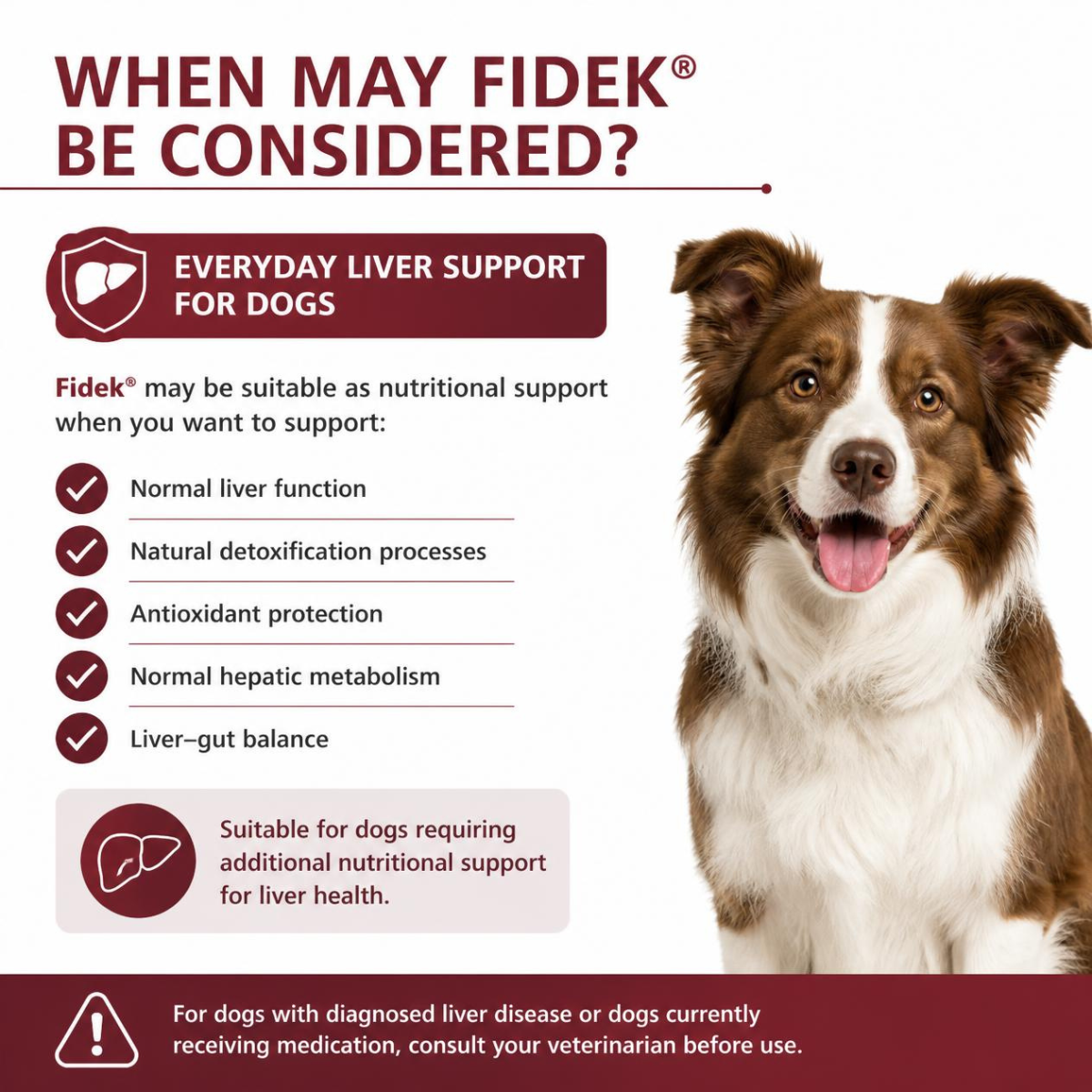 Nextmune Fidek Liver Supplement for Dogs