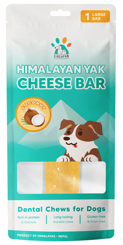 Singapaw Himalayan Yak Cheese Bar Dental Chew for Dogs
