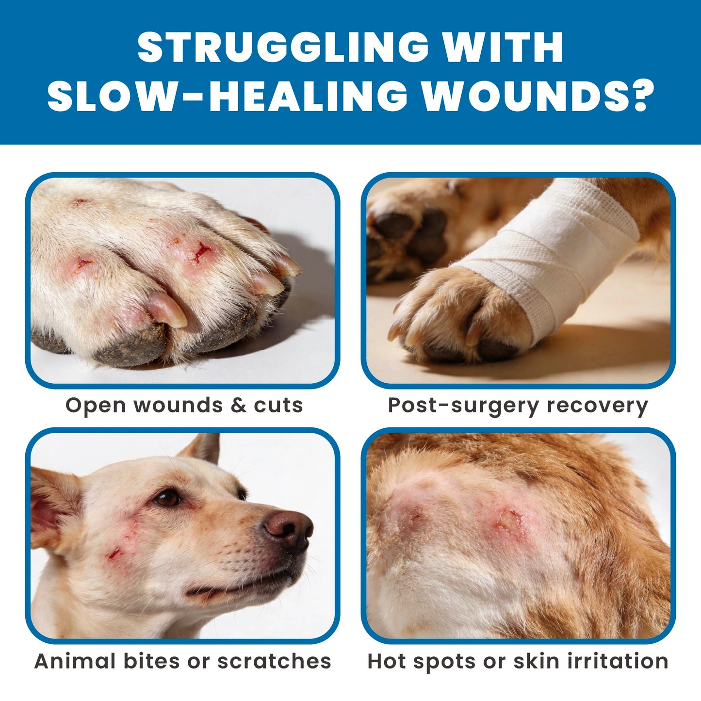 Peterian HEALFAST Anti-Licking Wound Spray 60ml