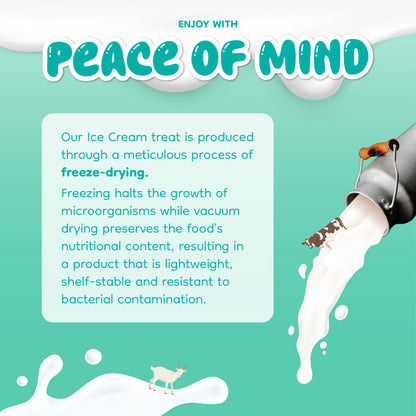 Singapaw Ice Cream Cone Freeze Dried Duck Dessert Cat & Dog Treats