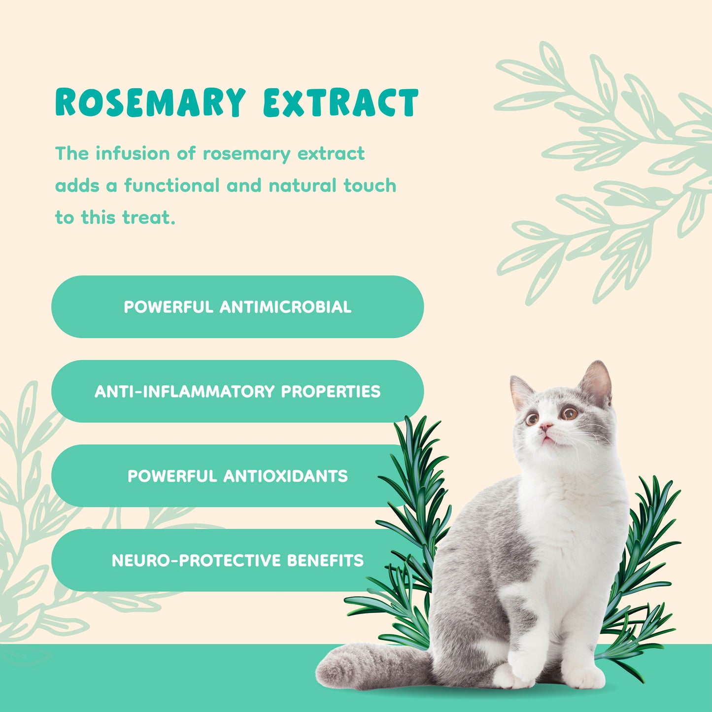 Singapaw Ice Cream Cone Freeze Dried Duck Dessert Cat & Dog Treats