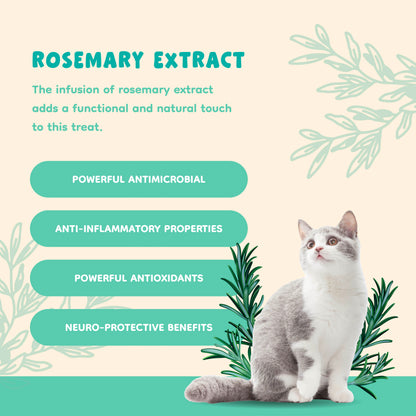 Singapaw Ice Cream Cone Freeze Dried Duck Dessert Cat & Dog Treats