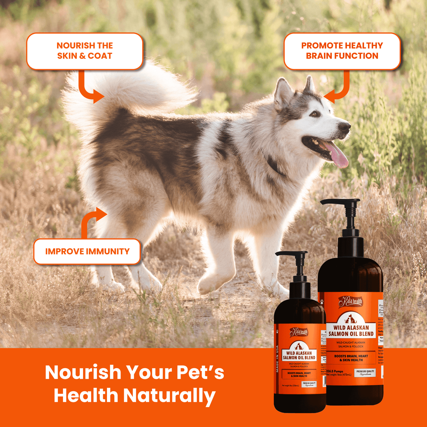 Kala Health Wild Alaskan Salmon Oil Blend Pet Supplement