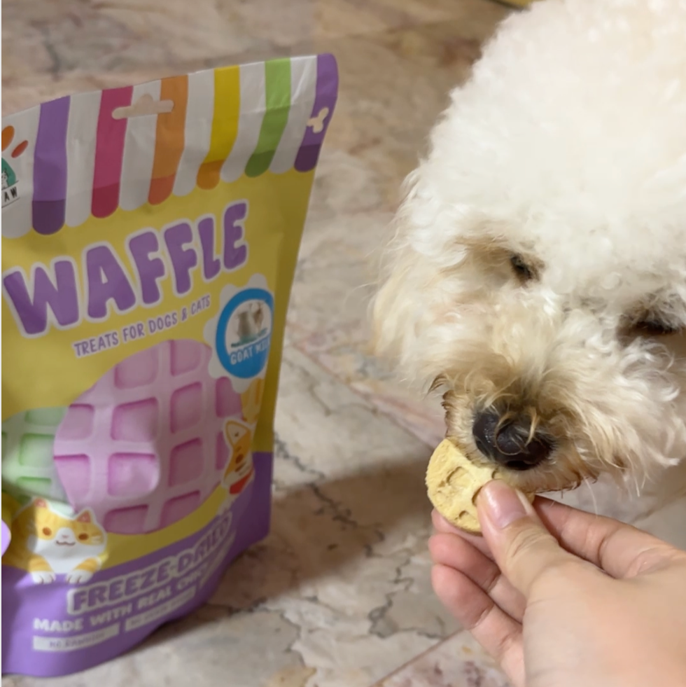 Dog eating a Waffle treat with a package of Waffle treats in the background.
