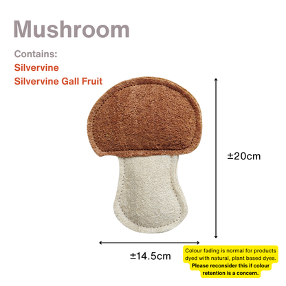 CatWant Natural Loofah Catnip Silvervine Cat Toy