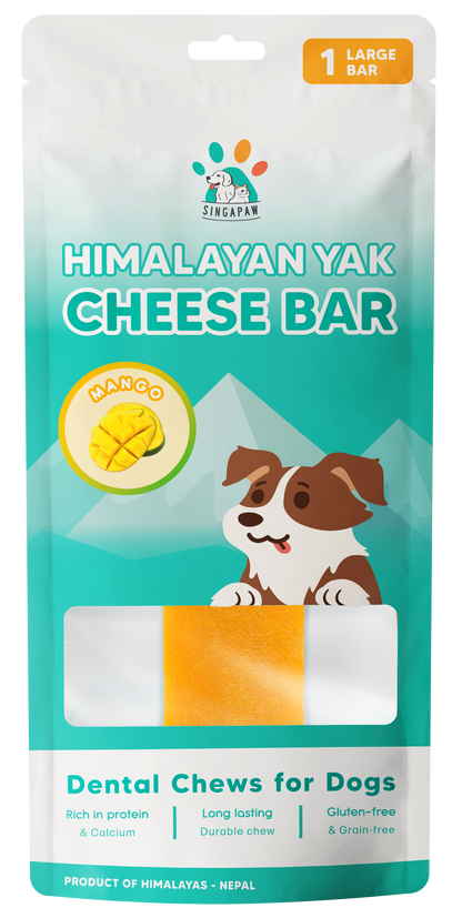 Singapaw Himalayan Yak Cheese Bar Dental Chew for Dogs