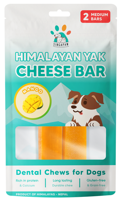 Singapaw Himalayan Yak Cheese Bar Dental Chew for Dogs