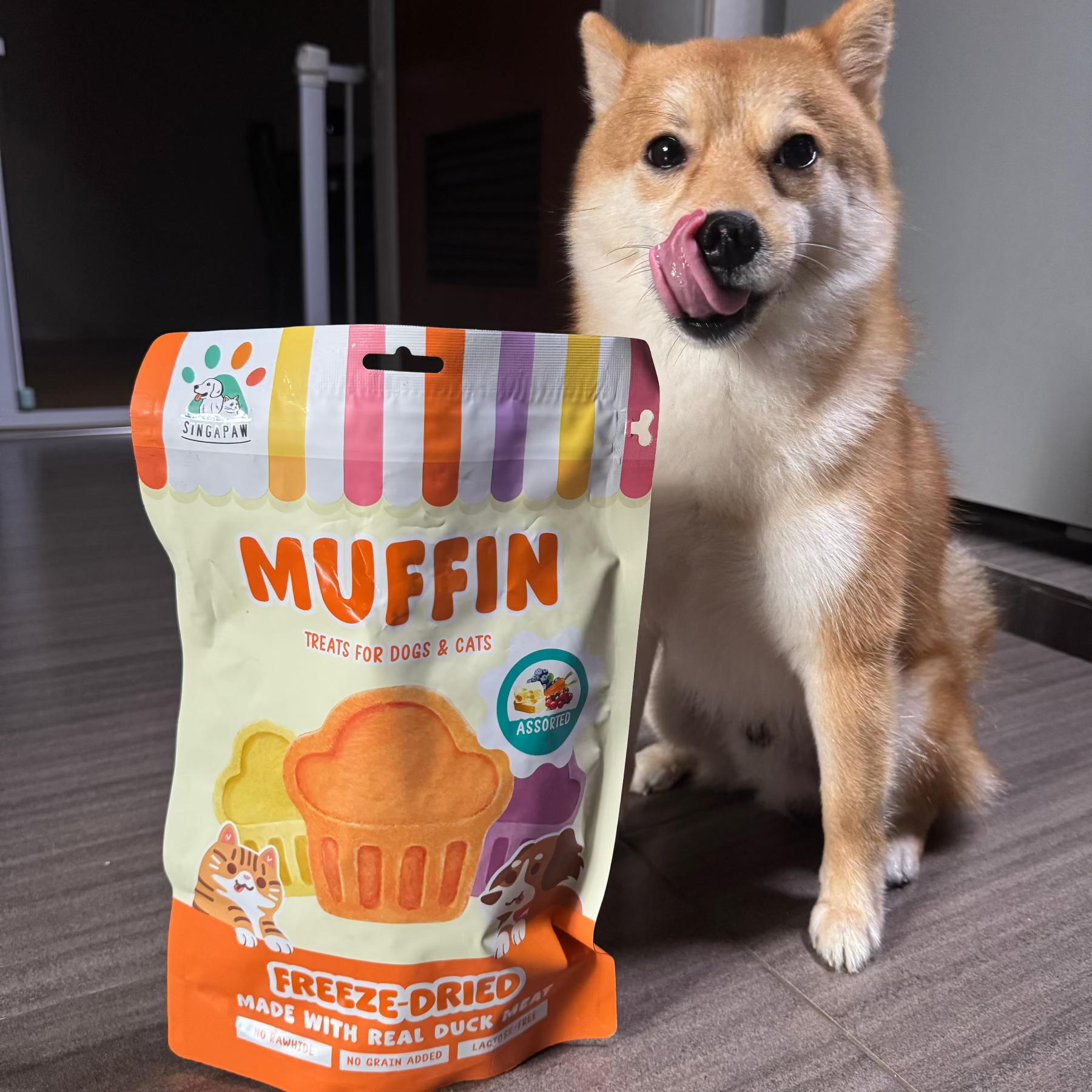 Dog sitting next to a package of Muffin freeze-dried treats on a wooden floor.