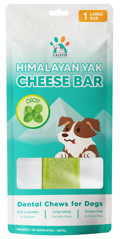 Singapaw Himalayan Yak Cheese Bar Dental Chew for Dogs