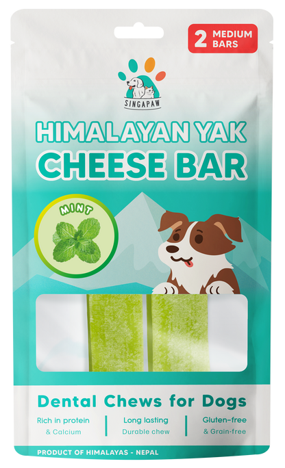 Singapaw Himalayan Yak Cheese Bar Dental Chew for Dogs