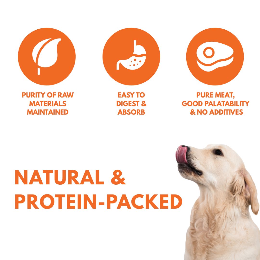 Singapaw Cat & Dog Treat Bundle – SingAPaw