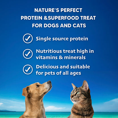 Singapaw Ocean Deli Dehydrated Cat & Dog Treats