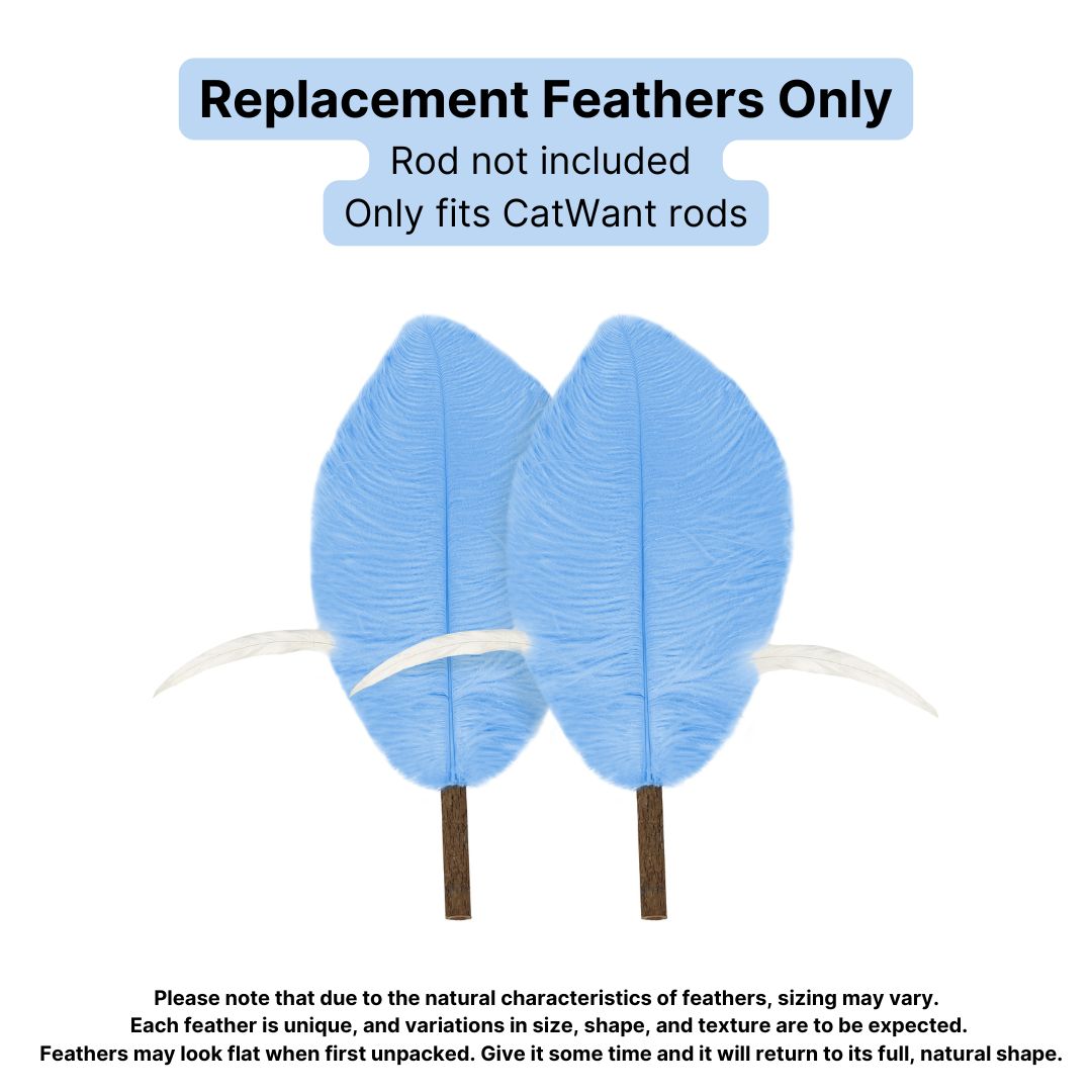 CatWant Jumbo Cat Teaser Head Feather Replacement Packs