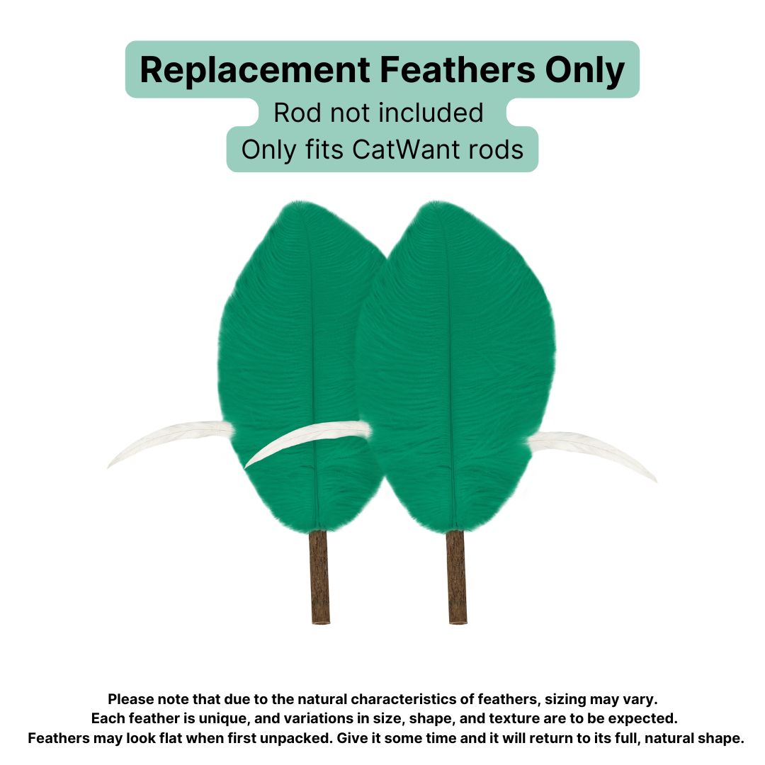 CatWant Jumbo Cat Teaser Head Feather Replacement Packs