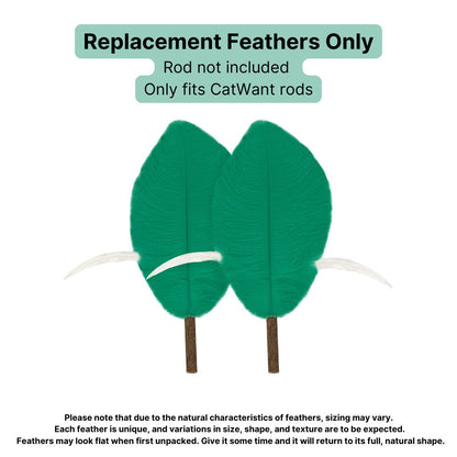 CatWant Jumbo Cat Teaser Head Feather Replacement Packs