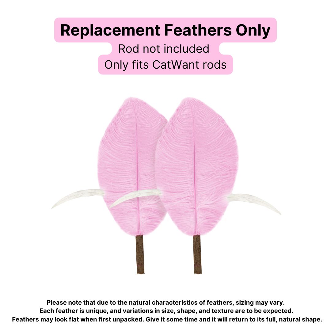 CatWant Jumbo Cat Teaser Head Feather Replacement Packs