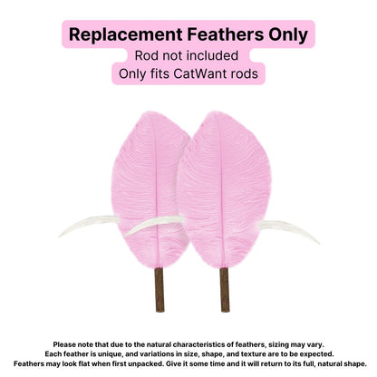 CatWant Jumbo Cat Teaser Head Feather Replacement Packs