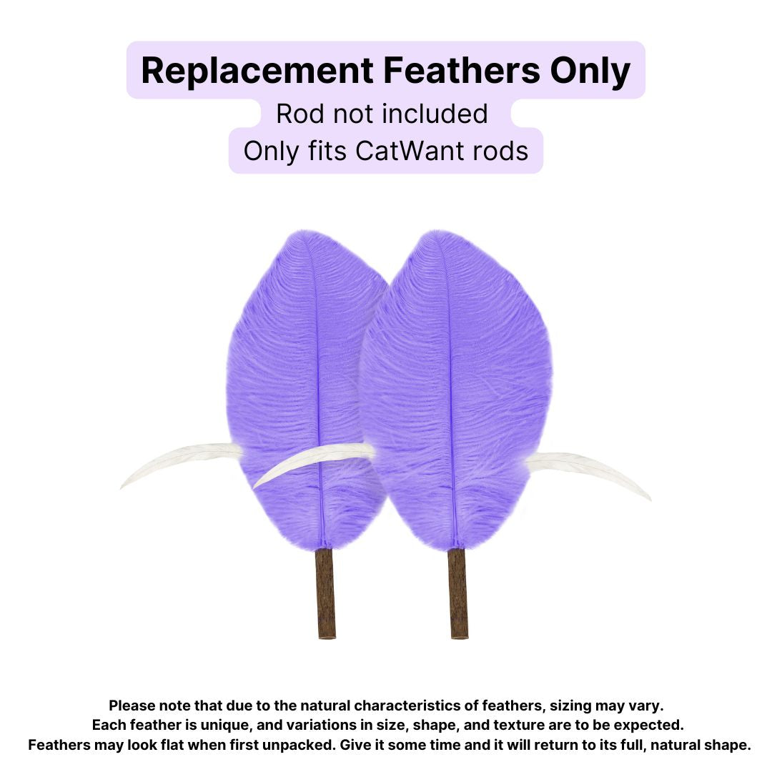 CatWant Jumbo Cat Teaser Head Feather Replacement Packs
