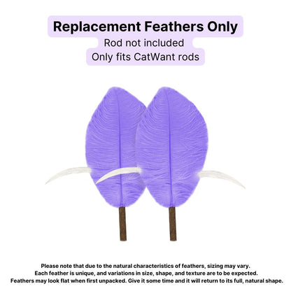 CatWant Jumbo Cat Teaser Head Feather Replacement Packs