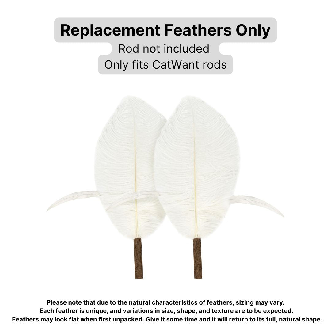 CatWant Jumbo Cat Teaser Head Feather Replacement Packs