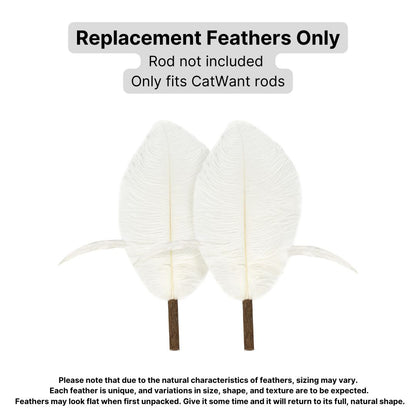 CatWant Jumbo Cat Teaser Head Feather Replacement Packs