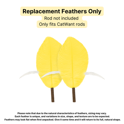 CatWant Jumbo Cat Teaser Head Feather Replacement Packs