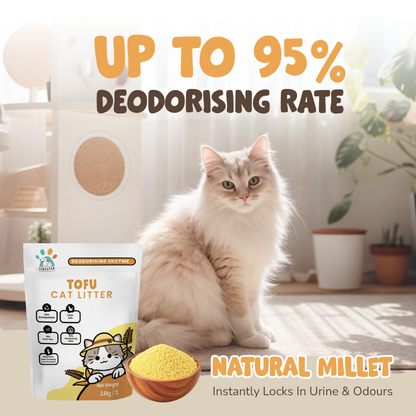 Singapaw Tofu Cat Litter Carton (2.6kg x 6)