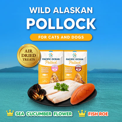 Singapaw Pacific Ocean Dehydrated Pollock Cat & Dog Treats