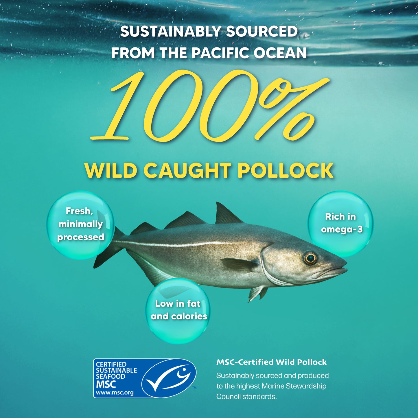 Singapaw Pacific Ocean Dehydrated Pollock Cat & Dog Treats