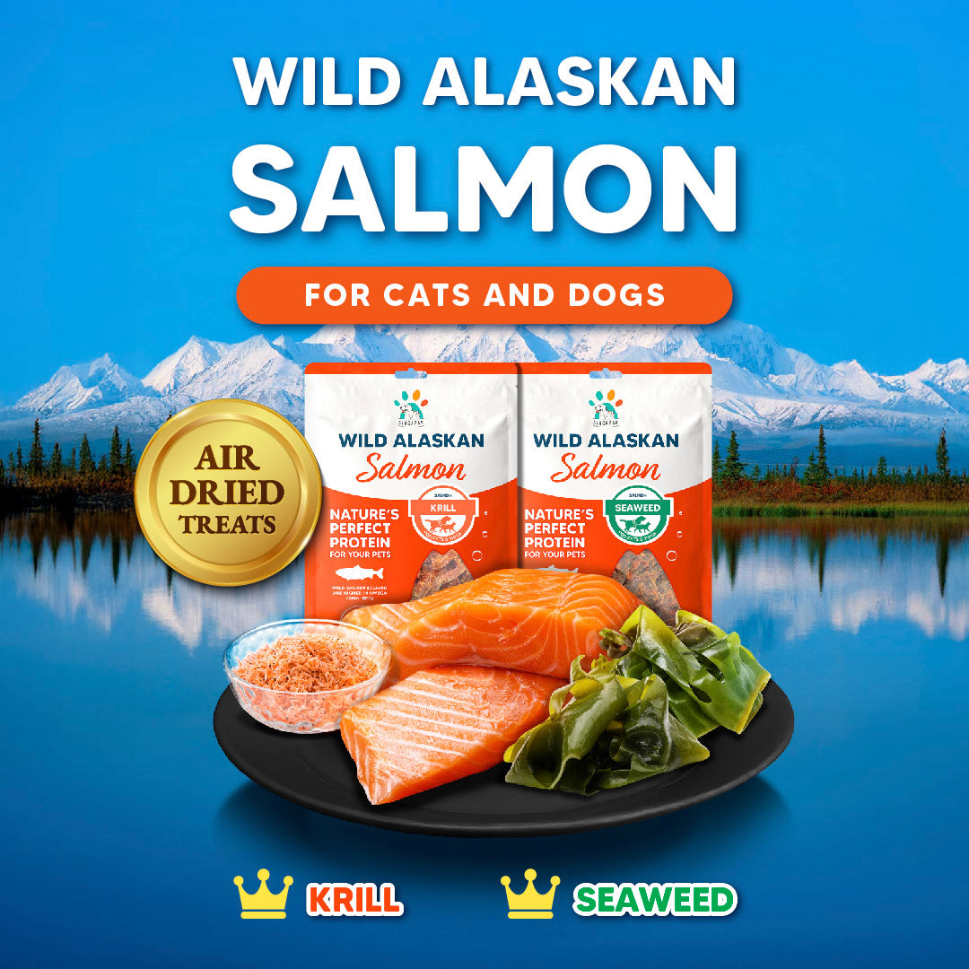 Singapaw Wild Alaskan Dehydrated Salmon Cat & Dog Treats