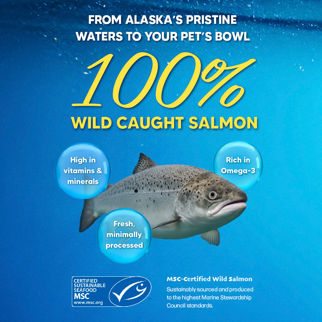 Singapaw Wild Alaskan Dehydrated Salmon Cat & Dog Treats