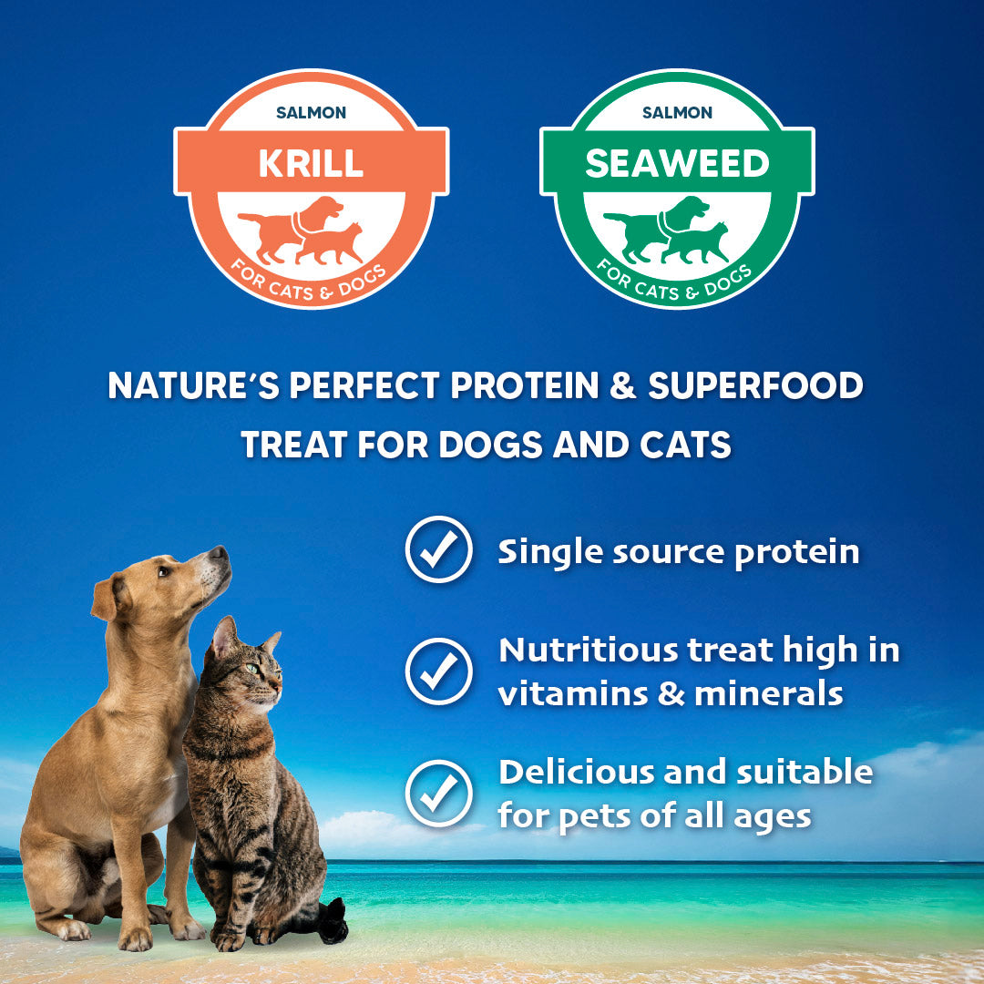 Singapaw Wild Alaskan Dehydrated Salmon Cat & Dog Treats