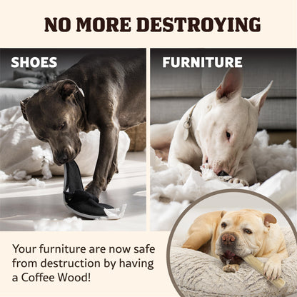 Singapaw Coffee Wood Dental Chew for Dogs