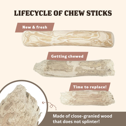 Singapaw Coffee Wood Dental Chew for Dogs