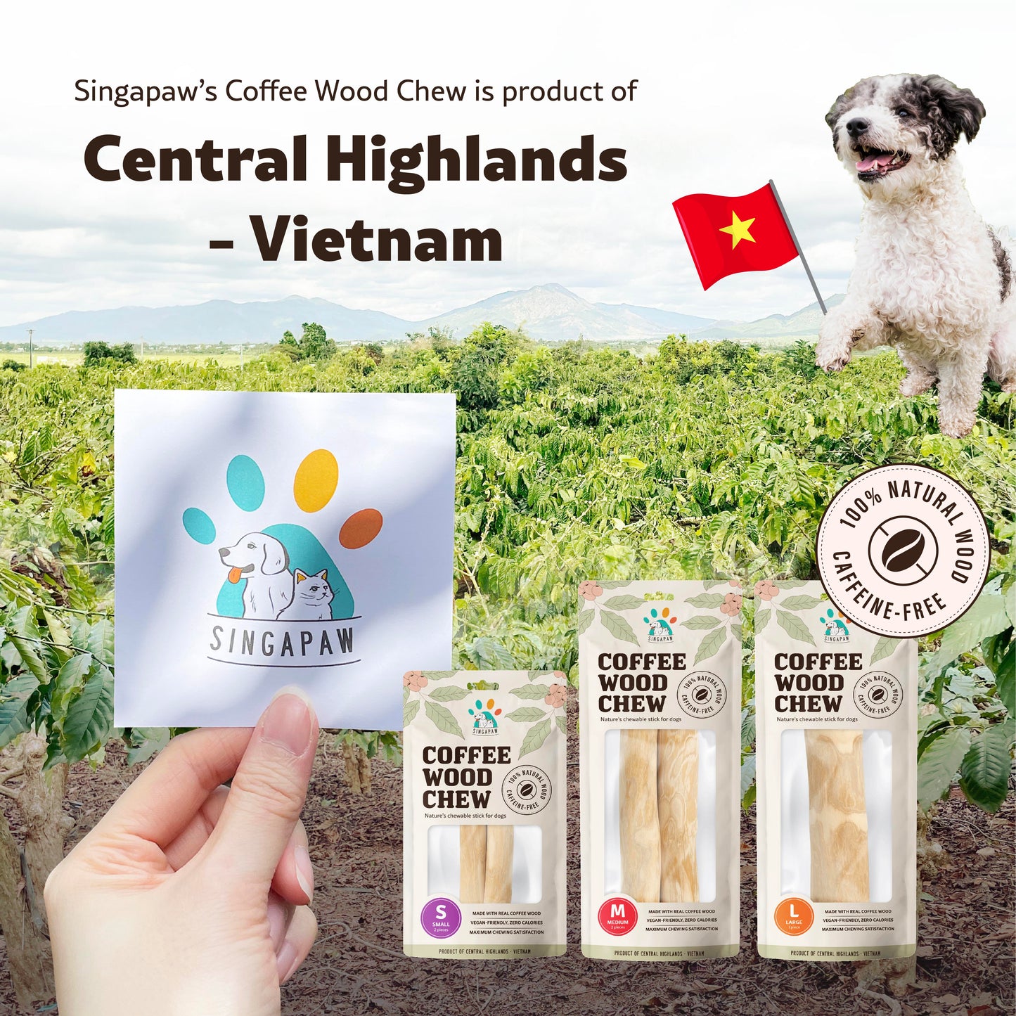 Singapaw Coffee Wood Dental Chew for Dogs