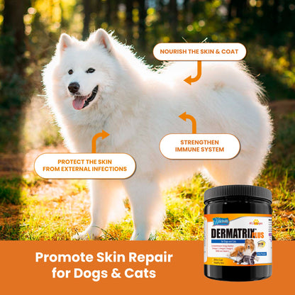 Dermatrix Plus Powder Skin & Coat Pet Supplement
