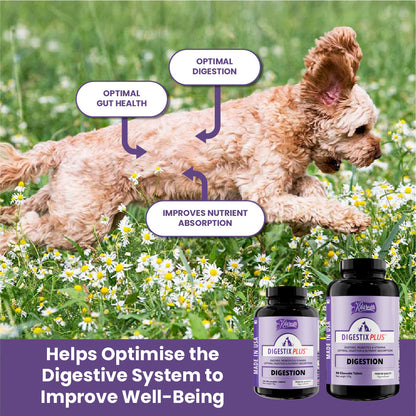 Kala Health Digestix Plus Digestion Pet Supplement
