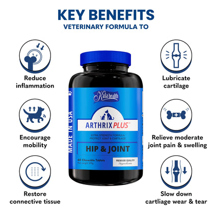 Kala Health Arthrix Plus Hip & Joint Pet Supplement