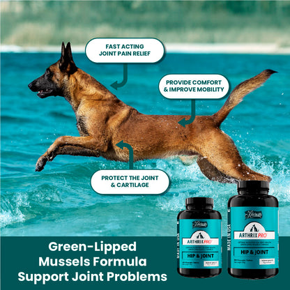 Kala Health Arthrix Pro Hip & Joint Pet Supplement