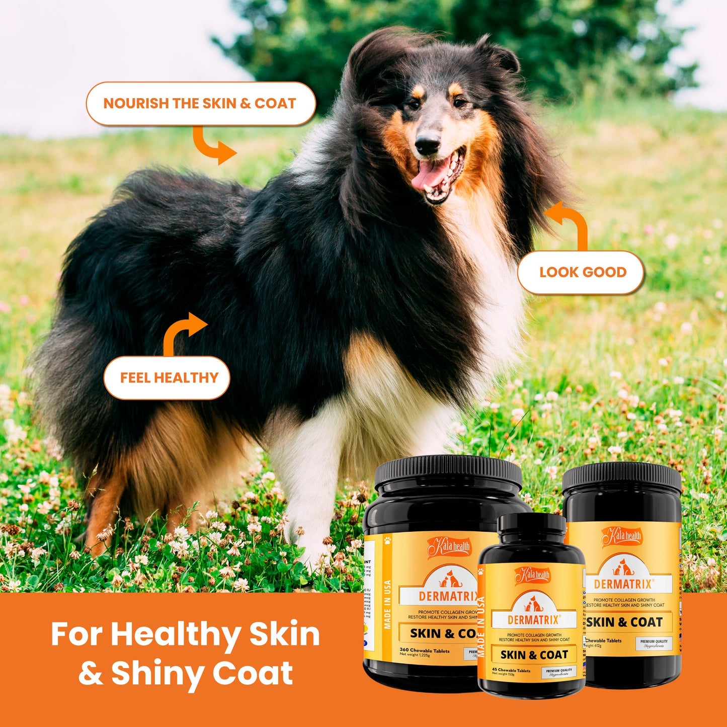 Kala Health Dermatrix Skin & Coat Pet Supplement