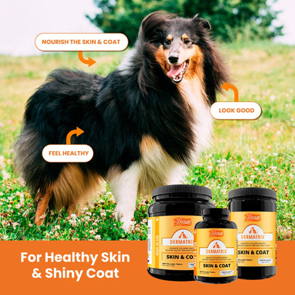 Kala Health Dermatrix Skin & Coat Pet Supplement
