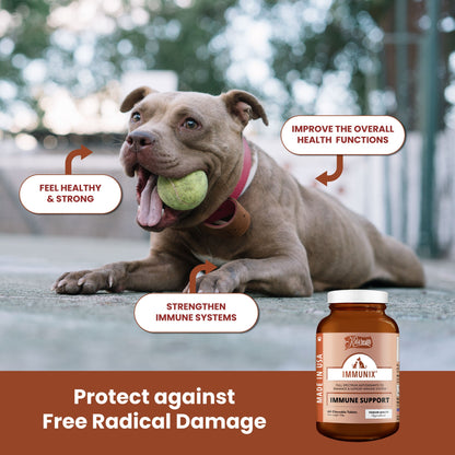 Kala Health Immunix Immunity Pet Supplement